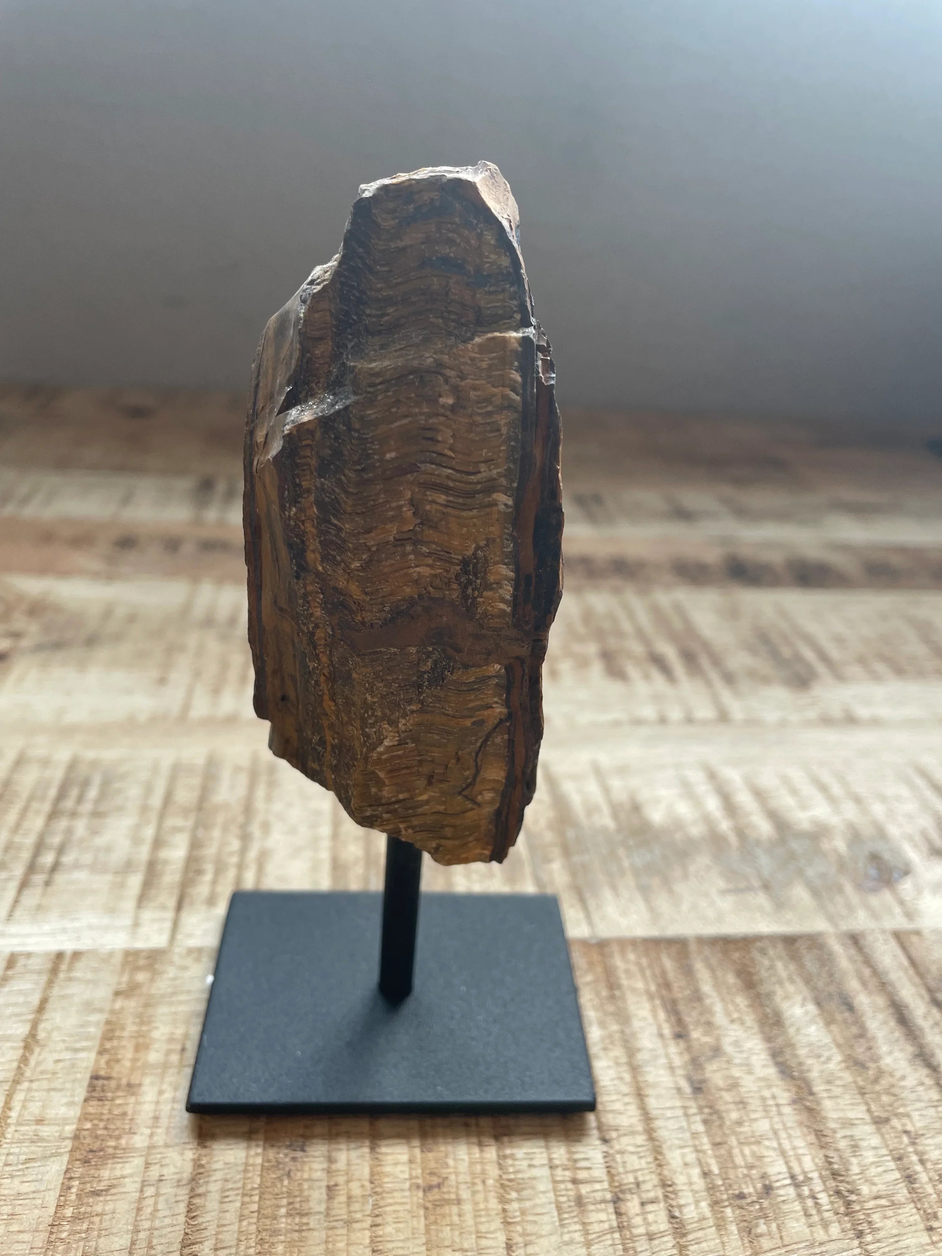 Tijgeroog staander 9 cm