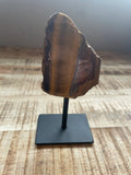 Tijgeroog staander 10 cm