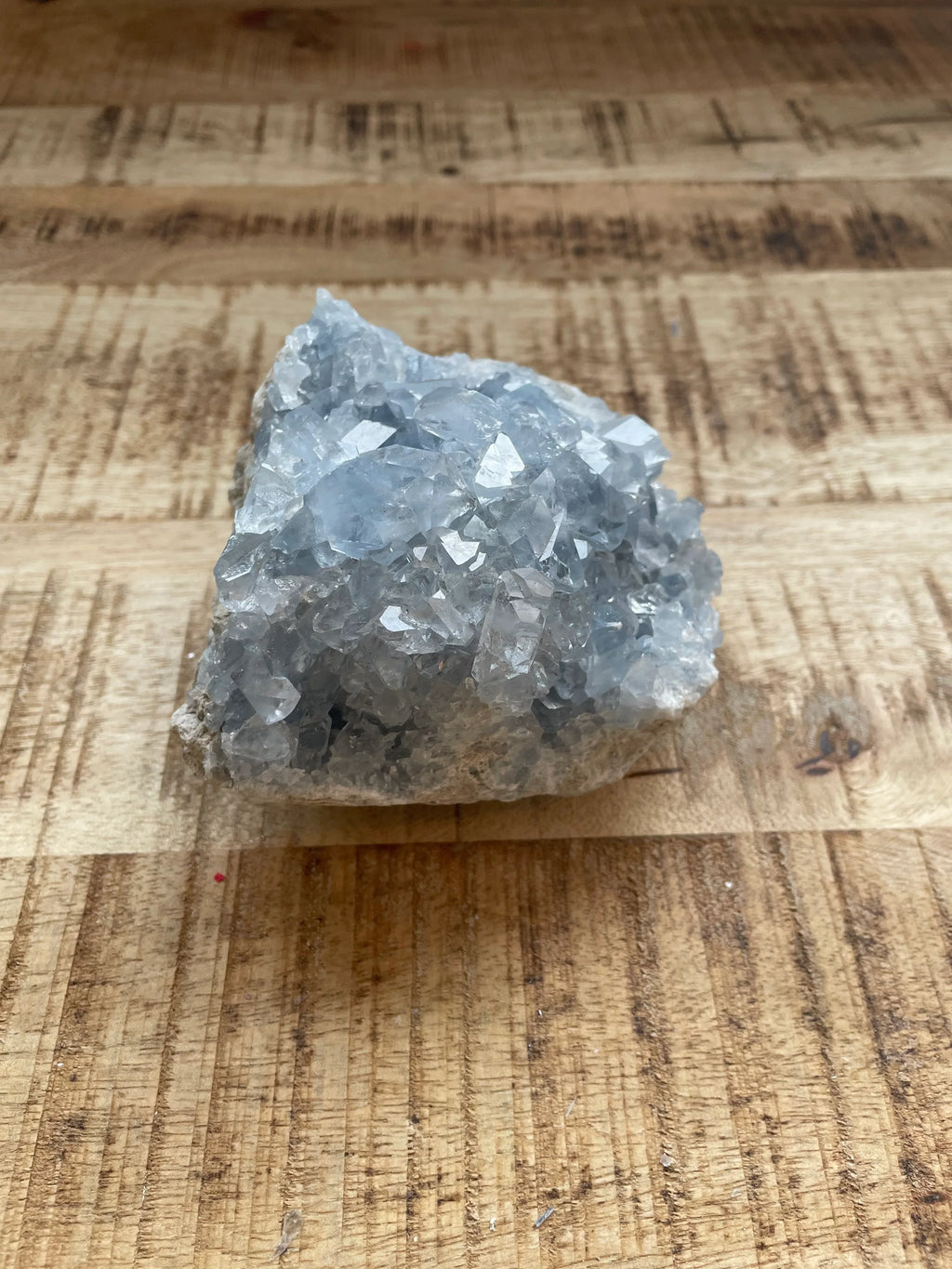 Celestien ruw 9 cm