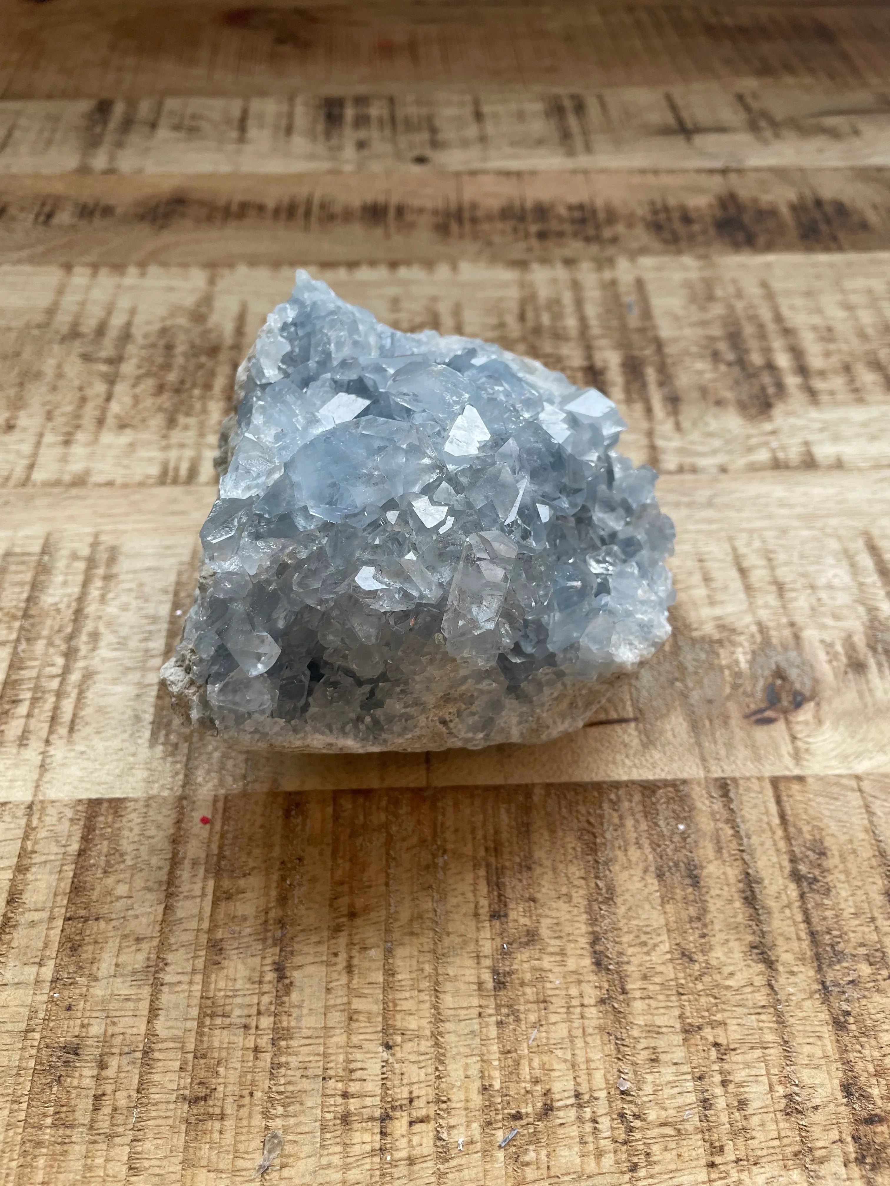 Celestien ruw 9 cm